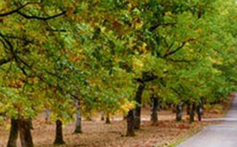 ��(d��)�����L(f��ng)��С�W(xu��)����