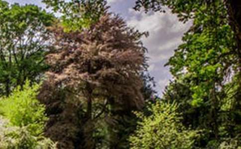 關(guān)于路上的風(fēng)景作文四篇