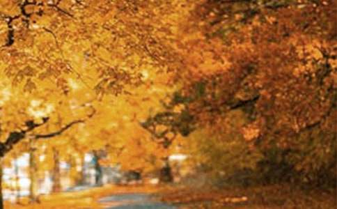 ����Ʒ�������L����������ƪ