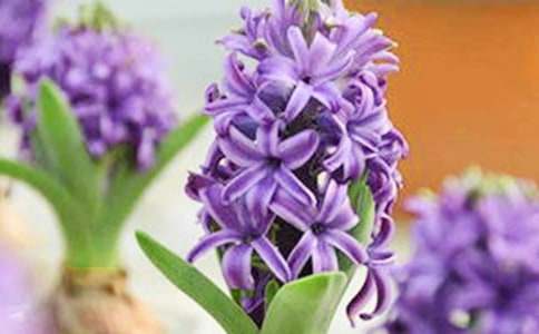 �L(f��ng)��������ഺ��������