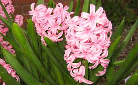 �������L(f��ng)�������ľ��x15ƪ