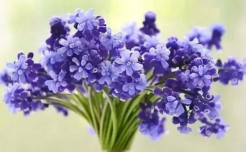 �L(f��ng)��������(�ϼ�15ƪ)