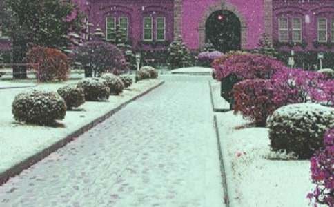 �L(f��ng)ѩ��ӛ������