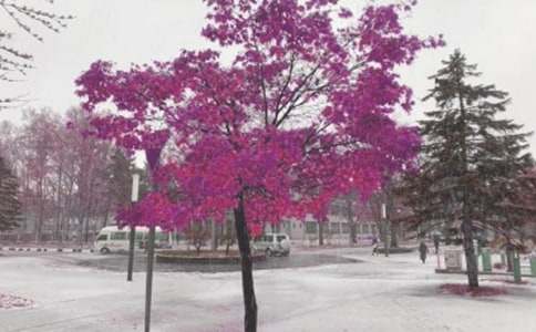 風雪中的溫暖優(yōu)秀作文(精選23篇)