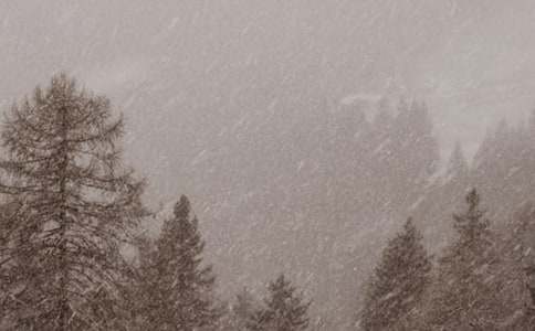 ��B�茑(xi��)�L(f��ng)ѩ��¶���~�Z(y��)