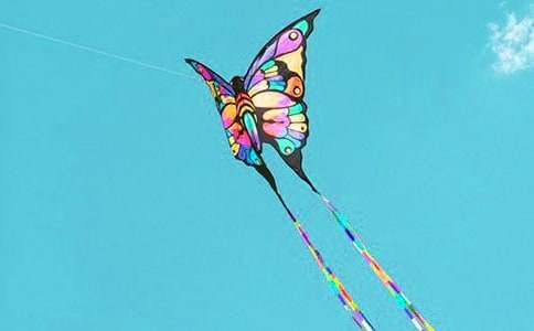 ���L(f��ng)���L(f��ng)�~��������