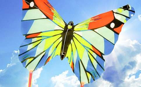 我和爸爸一起放風箏作文