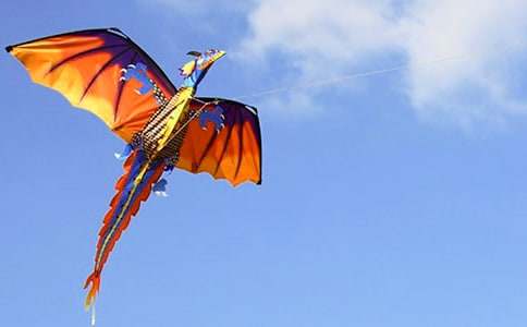 ���L(f��ng)�~���ĺϼ�15ƪ