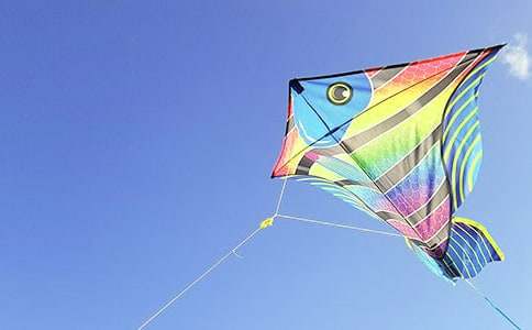 我和爸爸放風(fēng)箏的作文