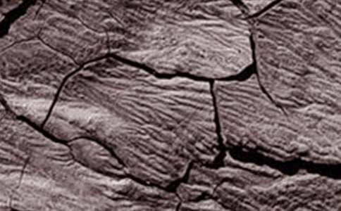 �����Ǹɺ��r(sh��)��(ji��)��һ��ˮ900������