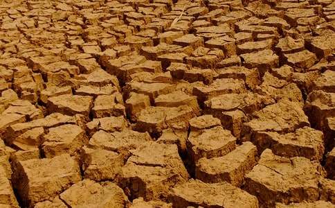 �����ֹ��Į���͸ɺ������ģ����o�҂��ľGɫ�҈@