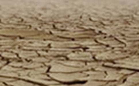 關(guān)于云南干旱的公益類作文(通用18篇)