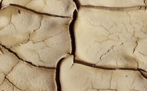 ������λ�Į���͸ɺ����������(d��ng)����