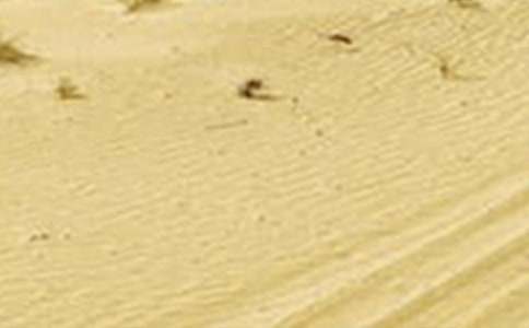 �����ֹ��Į���͸ɺ����ģ����o�h(hu��n)����������؟