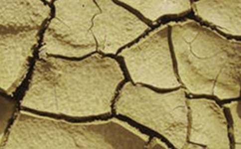 云南干旱作文600字