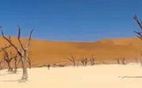 ���ϸɺ��ĸ�������