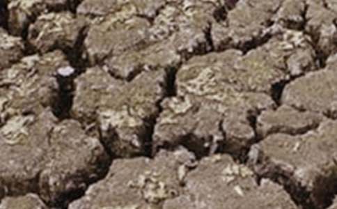  �����ֹ��Į���͸ɺ������ģ��ƴ���Ȼ���c��Ȼ���C��̎