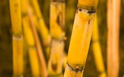 �����ζ��ӛ����ζ��С�W����