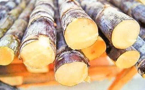 我愛故鄉(xiāng)的甘蔗小學(xué)作文