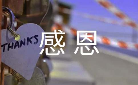 �ж�����������ƪ