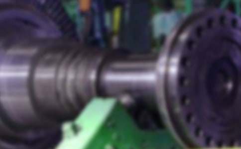 鋼鐵意志作文500字