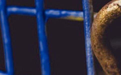 ����������F�b���ģ����x13ƪ��