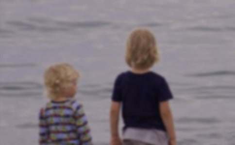 �����L�������߶�����