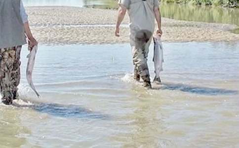 �Һ��ϰ��ǡ��炃������1000��