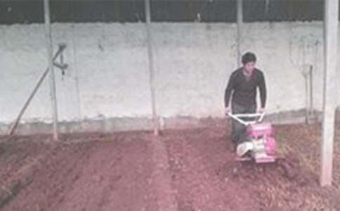 ������̎�ø���ɢ��