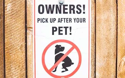 2015�꺣�P(gu��n)�����15̖(h��o)���桸���¡�