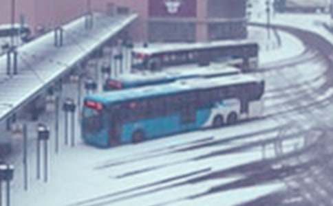 ����վ׃����������