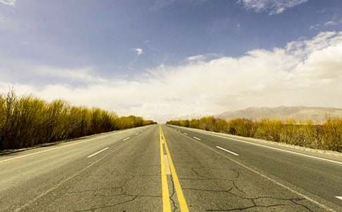 中國(guó)公路物流“智慧樹”正成長(zhǎng)