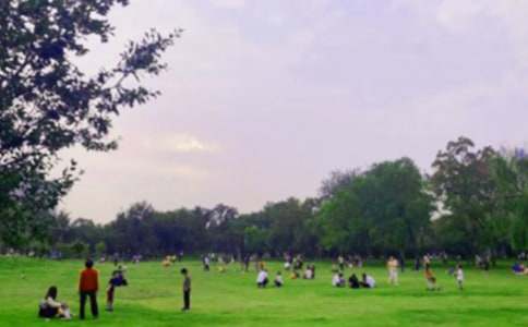 和平公園作文400字合集7篇