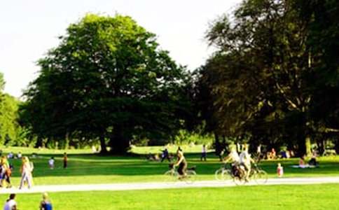 �P(gu��n)�ں�ƽ���@����