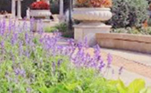 有關(guān)和平公園作文匯總五篇