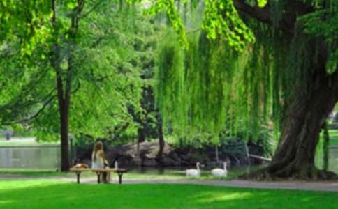 ��ƽ���@���ģ����x11ƪ��