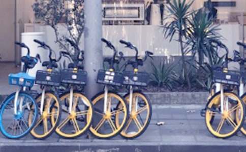 �����܇��������������