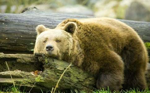 ���x��������500��4ƪ