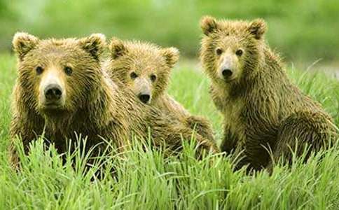 ���x��������500����ƪ