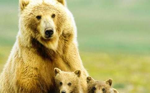 С������Դ���С�Ĺ��̰ܽ�