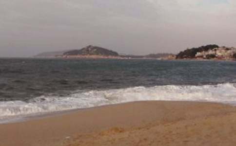 鼓浪嶼的霧作文