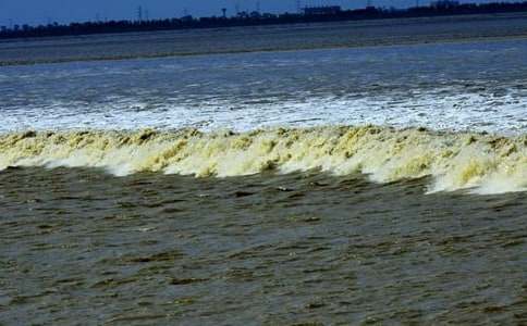 觀潮的改寫作文