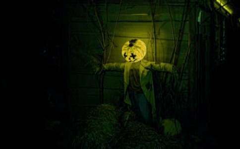 ��������400��