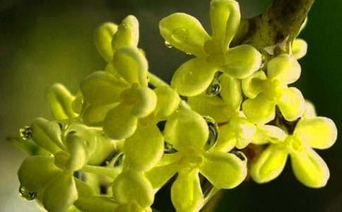 ��С�W(xu��)���ķ���