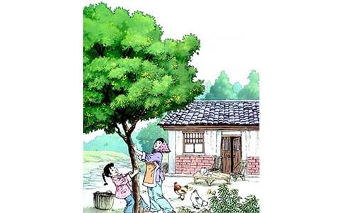 ����̌W(xu��)��˼���ģ����x10ƪ��