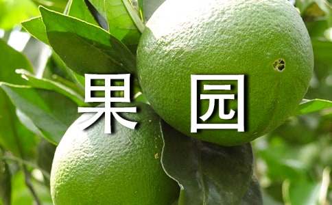 《果園機(jī)器人》教學(xué)反思范文
