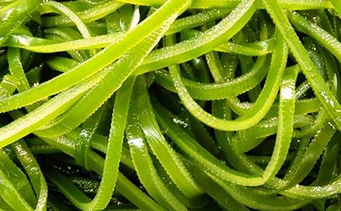 一斤海帶絲的感動小學(xué)作文