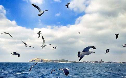 ���t�����ͯԒ����