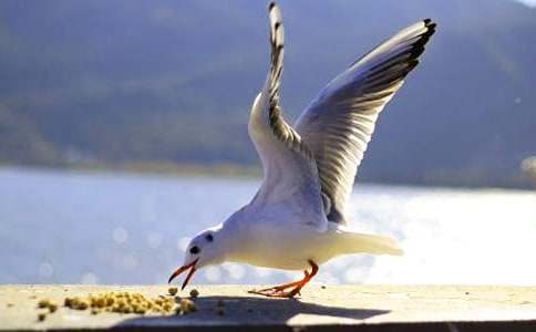 ���t�����ͯԒ����