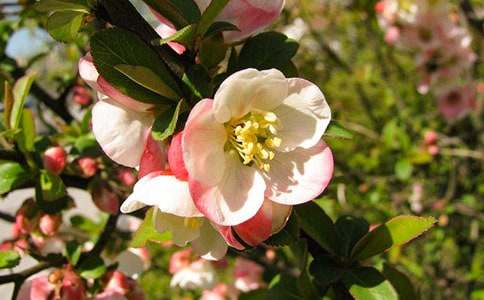 ���_(t��i)�ϵ��ﺣ������600��